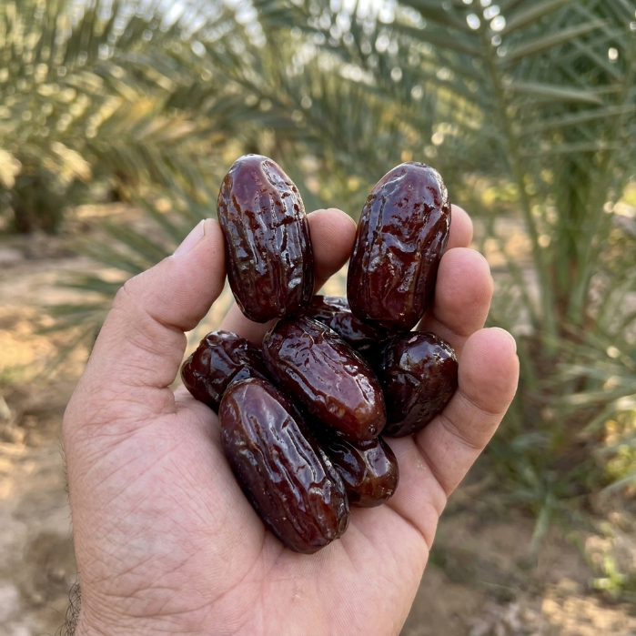 🍨Say goodbye to high-calorie guilt! 🥰Natural Purple Black Dates to Help You Achieve the Body You Love-C7