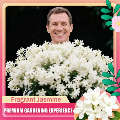 ⚡Flash-Sale⚡100k-sold⚡Silver Jasmine Seeds | Aromatic Climbing Vine for Garden & Balcony-#YUN7