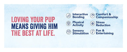 🏆Flash Sale⚡ 50K+ SOLD!💥Clifford Large Dog Toy 🏆-A11