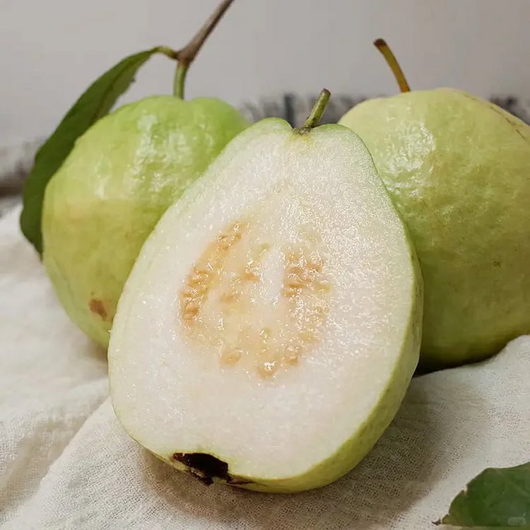 🔥 (New Harvest) Organic Pink Guava Seeds | 🌿Pre-Primed for High Germination (99% Germination)-ZDQ8