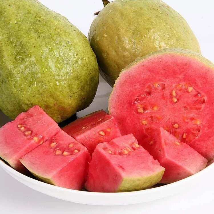 🔥 (New Harvest) Organic Pink Guava Seeds | 🌿Pre-Primed for High Germination (99% Germination)-ZDQ8