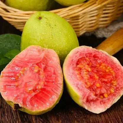 🔥 (New Harvest) Organic Pink Guava Seeds | 🌿Pre-Primed for High Germination (99% Germination)-ZDQ8