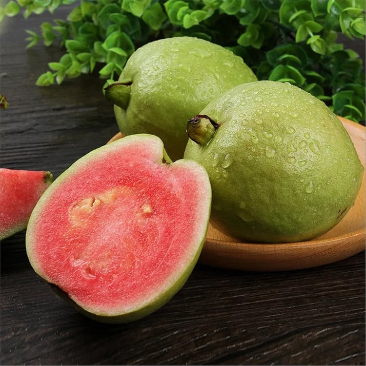 🔥 (New Harvest) Organic Pink Guava Seeds | 🌿Pre-Primed for High Germination (99% Germination)-ZDQ8