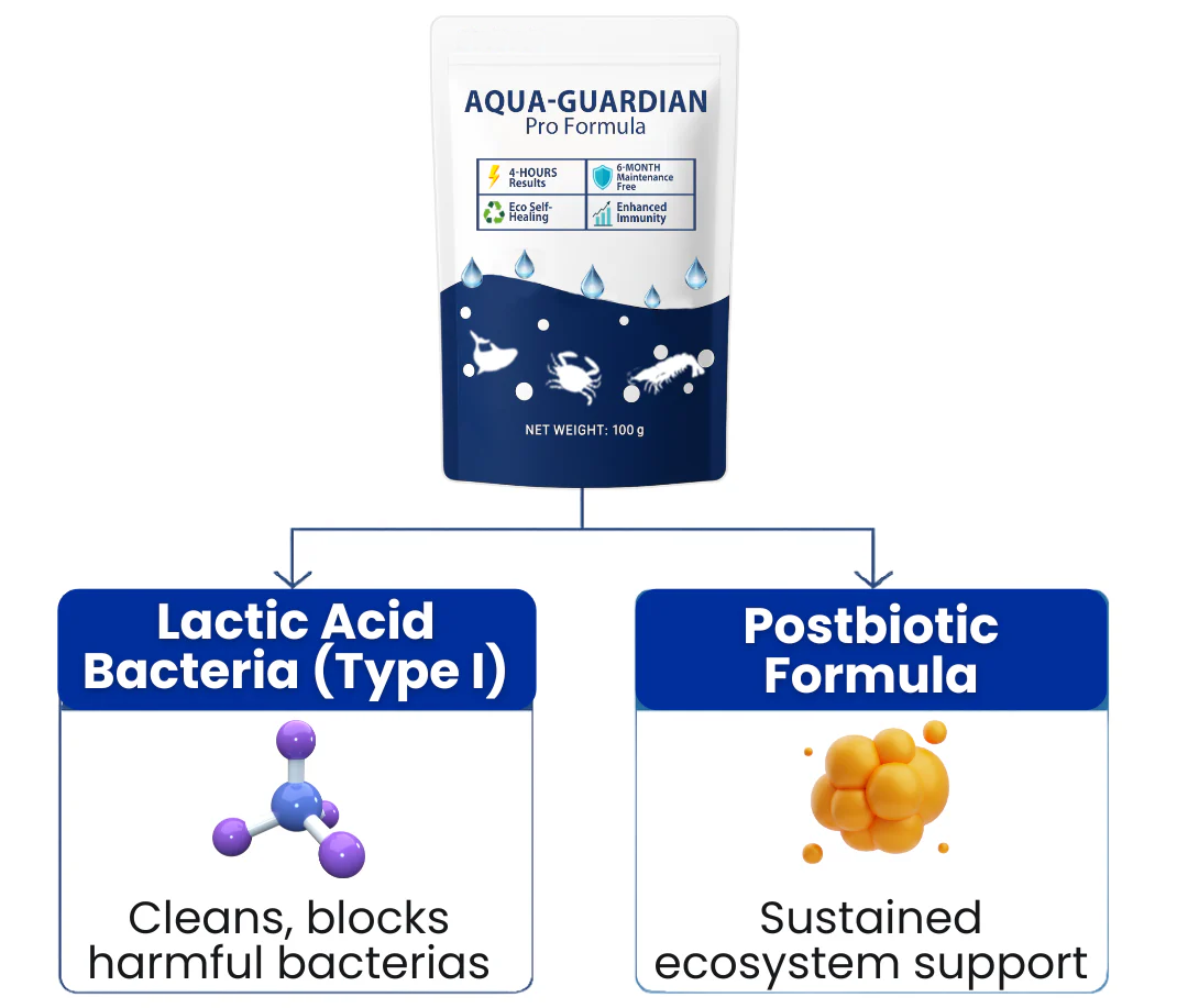 ⚡Crazy-Sale⚡Limited-Time Offer⚡Lowest Price - 50% Off⚡Aqua-Guardian Pro Formula-YTY5