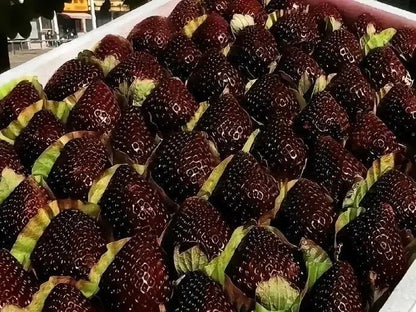 Giant Black Diamond   Strawberries Seeds –   Sweet, Nutrient-Rich &   Easy to Grow at Home-A11