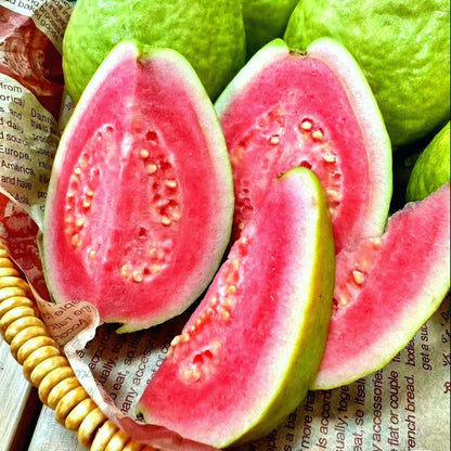 🔥 (New Harvest) Organic Pink Guava Seeds | 🌿Pre-Primed for High Germination (99% Germination)-ZDQ8